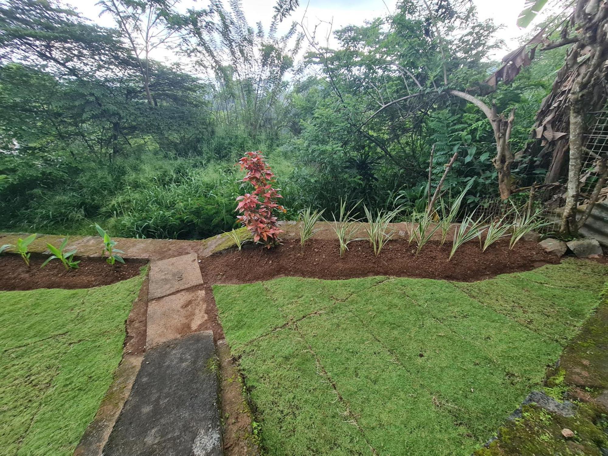 Hello Kandy Homestay Экстерьер фото