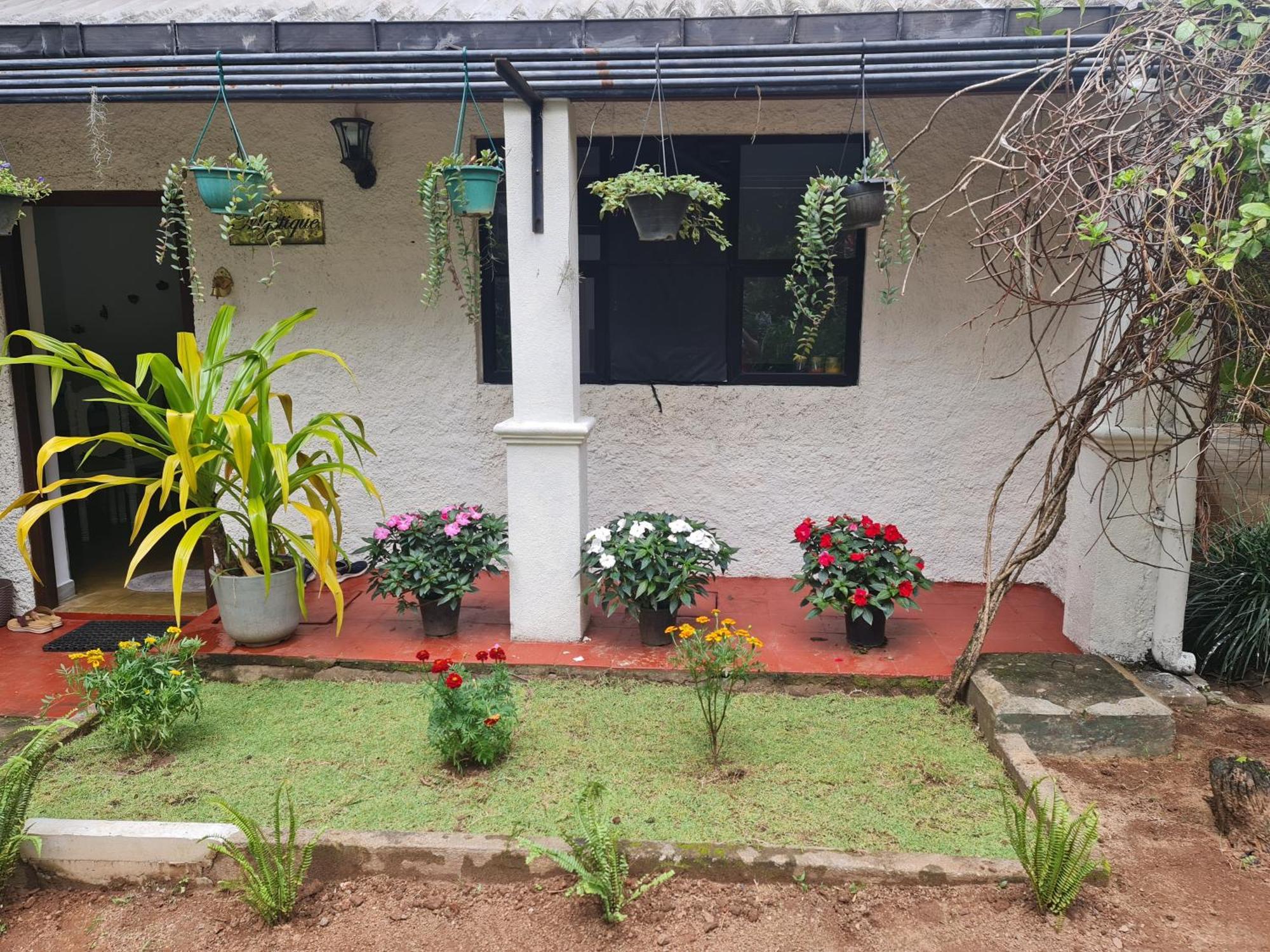 Hello Kandy Homestay Экстерьер фото